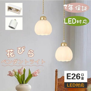 y_gCg k Ɩ Ԃт k KX _CjO  1 E26 LEDΉ _ Vv fUC Ɩ VƖ VF[hv  rO[ Q ʏ  L