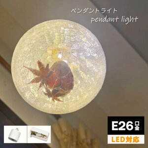 y_gCg  KX VƖ LED Ɩ AeB[N g a 킢 _Ng[ Vv k  gC Lb` H Q rO Ki xbh[ _