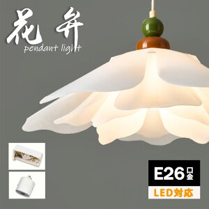  k LEDΉ 50cm 傫 5`12 VƖ Ԍ^ KX ^ y_gCg a g V[OCg PnCeA  rO _CjO CeAƖ 1 