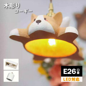 ؒ y_gCg R[M[  20cmyk Ɩ C^[tH  VƖ t dC ֏Ɩ ؐ E26 _ _CjOƖ Lb` CeACg Q K