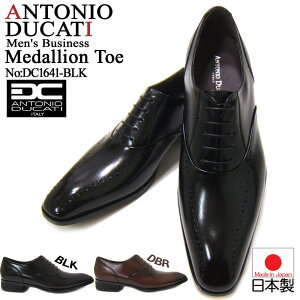 iŃX}[gȑo{irWlXIAgjI hJbeB/ANTONIO DUCATI amC DC-1641 ubN `[gD H  {