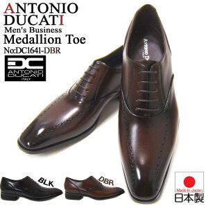 iŃX}[gȑo{irWlXIAgjI hJbeB/ANTONIO DUCATI amC DC-1641 _[NuE `[gD H  {