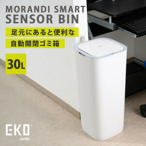 y1000~OFFN[|zy[J[zEKO fBX}[g ZT[r 30L JS~ _Xg{bN X ZT[ É EK6288-30L-WH C[P[I [