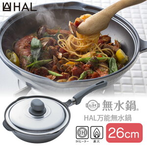 y5500~OFFN[|zHAL\26 n 26cm HALXC   tCp  IH  Lb`  AEghA A~ tbfH {