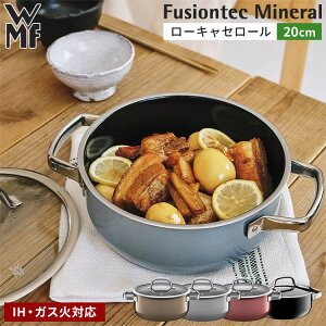 WMF t[WebN ~l [LZ[ 20cm F[GGt   ^ IHΉ KXWt 10Nۏ VRf ԊO  y|Cg10{z