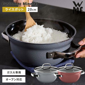 WMF t[WebN ~l CX|bg 20cm F[GGt ъ   3  [^ H KXΐp I[u HΉ KXWt 10Nۏ VRf ԊO
