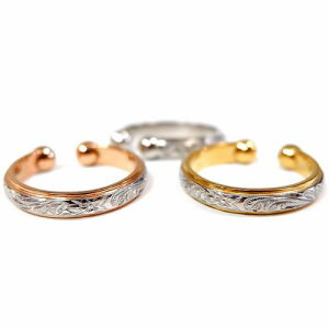 nCA WG[ C[Jt XeX  Ўp w֌p XN[ vA Vo[ CG[S[h sNS[h ANZT[ fB[X Y Mtg v[