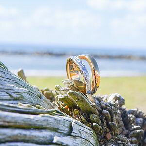 nCA WG[ C[Jt XeX Ўp Vo[ CG[S[h sNS[h XeX XN[ g jZbNX yA ANZT[ fB[X Y A