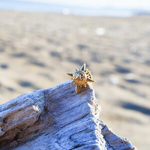 nCA WG[ sAX XeX Ўp z XN[ g Vo[ CG[S[h sNS[h yA ANZT[ fB[X Y Mtg v[g