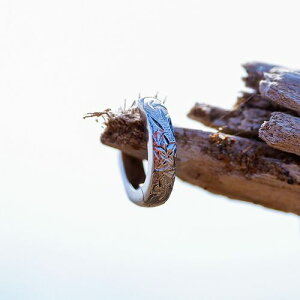 nCA WG[ sAX XeX o[Vu Vo[ CG[S[h sNS[h t[v ANZT[ fB[X Y Mtg v[g