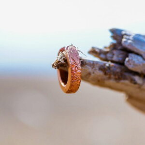 nCA WG[ sAX XeX o[Vu Vo[ CG[S[h sNS[h t[v ANZT[ fB[X Y Mtg v[g