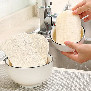 VRfށ@w`}킵 w`}X|W@1 ȉ~` `@Loofah scrub brush w`}킵 VN 킵 Lb`pi oXpi ʗpi ʉϑ L ւ Ev 