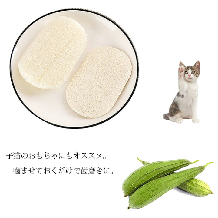 楽天市場 メール便 ヘチマたわし Loofah Scrub Brush ヘチマスポンジ 乾燥ヘチマたわし シンク たわし キッチン用品 バス用品 洗面用品 洗面化粧台 猫おもちゃ へちま 脱プラ 長方形 楕円形 ソープディッシュ 石鹸置き 株式会社ssサービス 楽天市場店