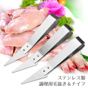 y[ցzIXeX pєiCt  ނ   ~jiCt 炦   _bN [Xg`L ؑ ֗ sZbg BBQ o[xL[OsO