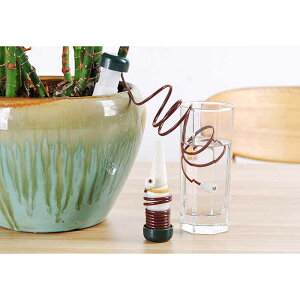 y[ցzAؔ  s Oo s A ϗtA 엿   z[X 