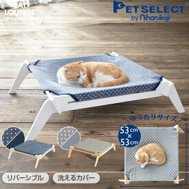 熱い夏でも快適に過ごして欲しい！夏用猫ベッドのお勧めは何ですか？