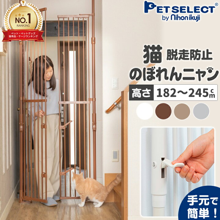 楽天市場】【最大350円OFFｸｰﾎﾟﾝ ※要取得☆P3倍11/16迄】のぼれんニャン  