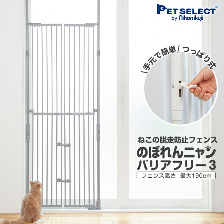 楽天市場】【最大350円OFFｸｰﾎﾟﾝ ※要取得☆P3倍11/16迄】のぼれんニャン 