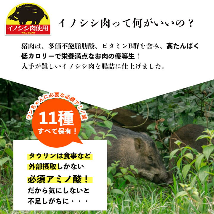 楽天市場 猫 おやつ 国産 猫用 鶏ささみと猪のキューブ 35g 2個セット メール便送料無料 1000円ポッキリ 猫のおやつ 国内生産 日本製 着色料不使用 小麦粉不使用 グルテンフリー 鶏肉 イノシシ 猫おやつ 猫用おやつ ペットフード キャットフード 送料対策