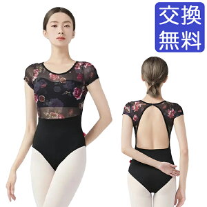 t[bV oGI^[h WjAElp oXg|Pbgt  bV  Xgb` Lk ԕ bX K    wL i ؂₩ l I^