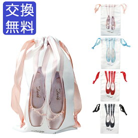 バレエ シューズバッグ 巾着袋 トウシューズ柄 サテンリボン付き シューズケース トゥシューズ柄 ポワント柄 リボン かばん 可愛い おしゃれ かわいい レディース 軽い 練習 バレエ鑑賞 教室 レッスン お稽古 子供 キッズ ジュニア 大人