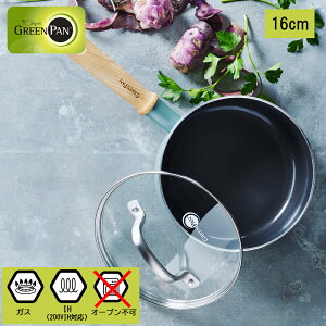 �y���r���[�œ��T�ʑ��z �t���C�p�� GREENPAN �O���[���p�� ���C�t�����[ �\�[�X�p�� 16cm �W�t IH�^�K�X�ΑΉ�