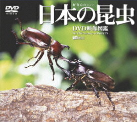 ／日本の昆虫／DVD映像図鑑