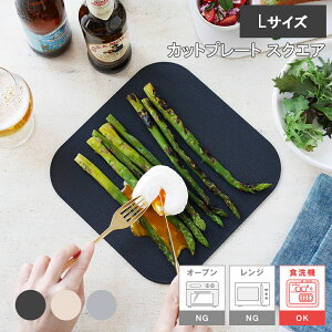 yr[œTʑz JbeBO{[h Jbgv[g XNGA Large ubN^AC{[^O[ ܂Ȕ  y H@Ή 24cm |vs RۉH Ɍ HΉ 