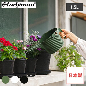 yr[œTʑzW[ 1.5L { K[fr[g GARDEN BEETLE _[NO[^zCg^ubN WE 傤   oPc K[fjOpi |pi 