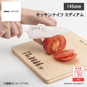 yr[œTʑzLb`iCt ~fBA145mm H@Ή ZNg100×[~ SELECT100 L KAI MOOMIN [~R{ 