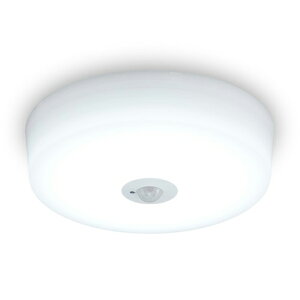 �A�C���X�I�[���}(Iris Ohyama) SCL20D-MS-H ���^�V�[�����O���C�g ������ 2000lm �����F �l���Z���T�[�t