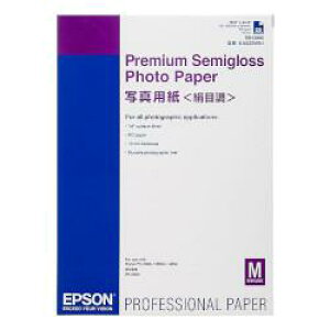 Gv\ EPSON KA225MSH ʐ^p ڒ A2 25 KA225MSH