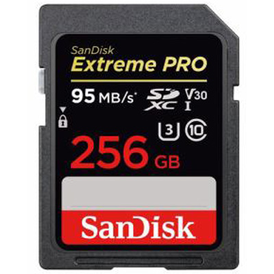 【在庫あり】12時までの注文で当日出荷可能！ SanDisk SDSDXXG-256G-JNJIP SDXCカード 256GB CLASS10
