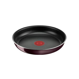 �e�B�t�@�[�� T-fal �C���W�j�I�E�l�I ���B���e�[�W�{���h�[�E�C���e���X �t���C�p��22cm �K�X�̂� L43903