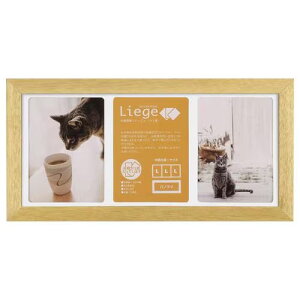 nNo(HAKUBA) FWLGC-NTL3 i` tHgt[ G[W Ve LTCY3 ʐ^t[ z