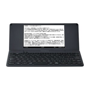yۏؕtzyyV1ʎ!!zLOW KING JIM DM250 fW^u|v DM250
