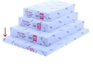 R[ tJ[Rs[p ^Cv6000 70W A3mr 13×19C`[s]