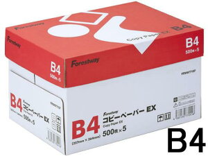 Forestway Rs[y[p[EX B4 500×5[s]