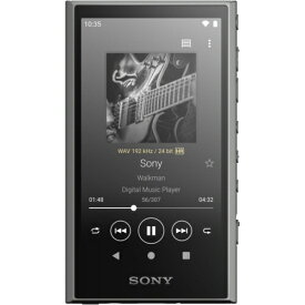 ソニー SONY NW-A306 H(グレー) ハイレゾ音源対応 ウォークマン Aシリーズ 32GB NWA306HC