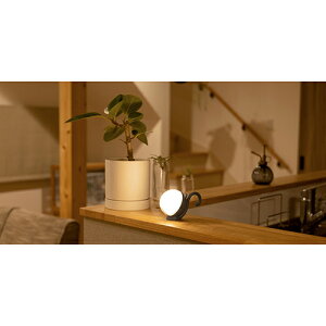 TV musashi WAM-051BK ubN [d ܂܂˂ZT[Cg WAM051BK