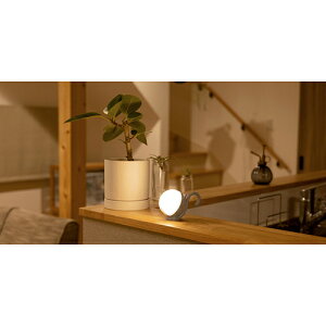 TV musashi WAM-053AC A[hN[ [d ܂܂˂ZT[Cg WAM053AC