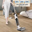 【対象ショップ限定 先着フラッシュクーポン】enas イーネーズ ウェット＆ドライスマートクリーナー 電解水で手を汚さない水拭き掃除機！ ECDR1501 ECDR1501