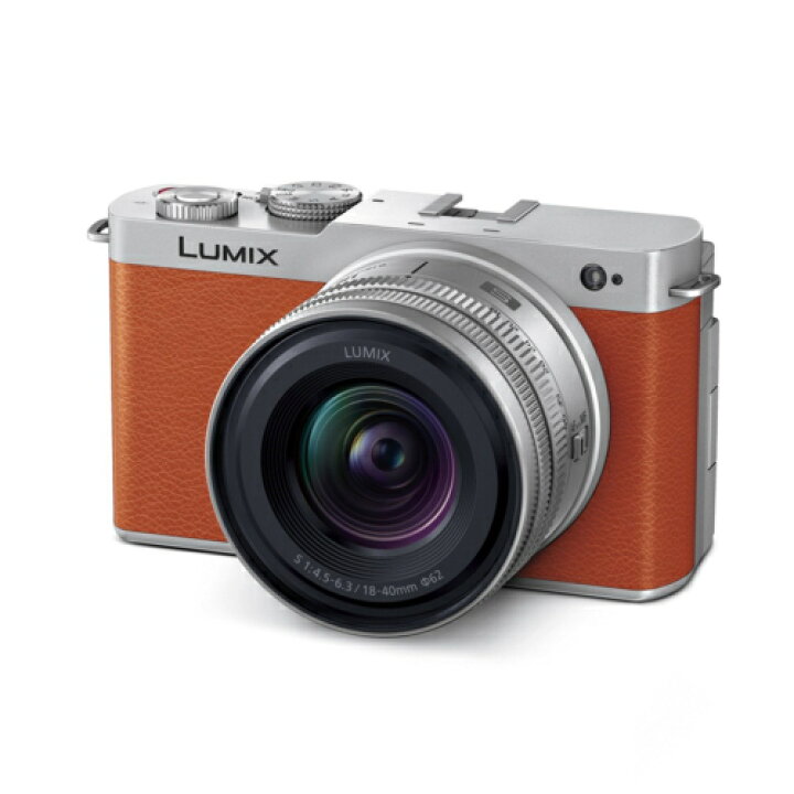 楽天市場】【長期5年保証付】パナソニック Panasonic LUMIX DC-S9N-D 