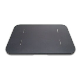 issin 取り替え用ソフト珪藻土マット単品 体組成計モデル専用 ダークグレー※珪藻土バスマット単品売りです。本体は付属しません BM24A01QJDKGY