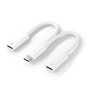 PGA PG-TYCCHG02WH USB-C[d|[gt USB-C to USB-C CzϊA_v^ PGTYCCHG02WH