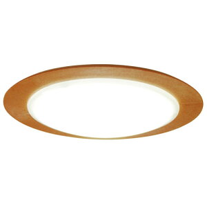 �X�����d�� SWAN CE-1004NA LED�V�[�����O���C�g �����F �����R���� CE1004NA