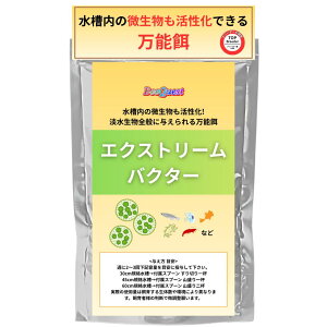 yBeeQuestz `` Vv̉a  _J ߂ GNXg[oN^[ ƔɐB!! ]EV ~WR RhX Vv  _J ߂ 