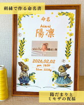 クロスステッチ 刺繍キット 命名紙 メモリアル・記念品 出産祝い・ギフト キッズ・ベビー・マタニティの通販