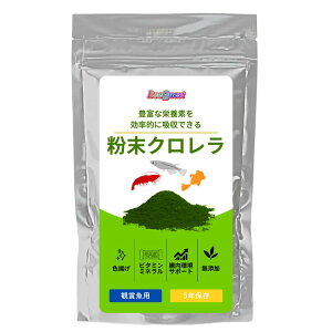 BeeQuestzN Ϗ܋p _J jq t ~WR|{ a GT vR O[EH[^[ r[Vv Gr  Y  N