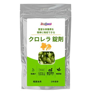 yBeeQuestz Ϗ܋p YN  vR r[Vv k}Gr _J ]a\h a 